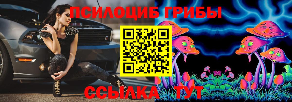 Псилоцибиновые грибы мухоморы  Вход с VPN  Качканар  закладки  Галлюциногенные грибы Cubensis 